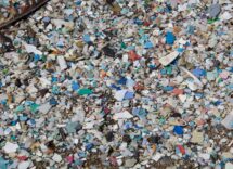 plastic island
